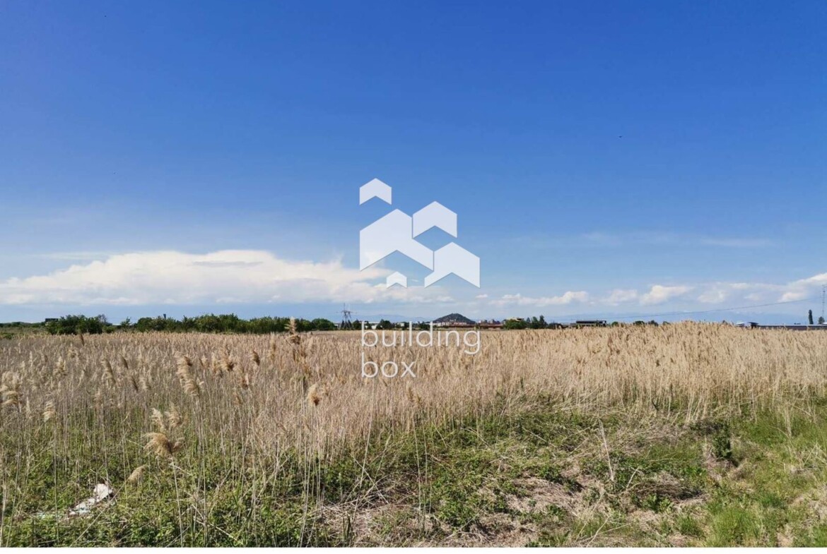 Земеделска земя - с. Маноле - 0