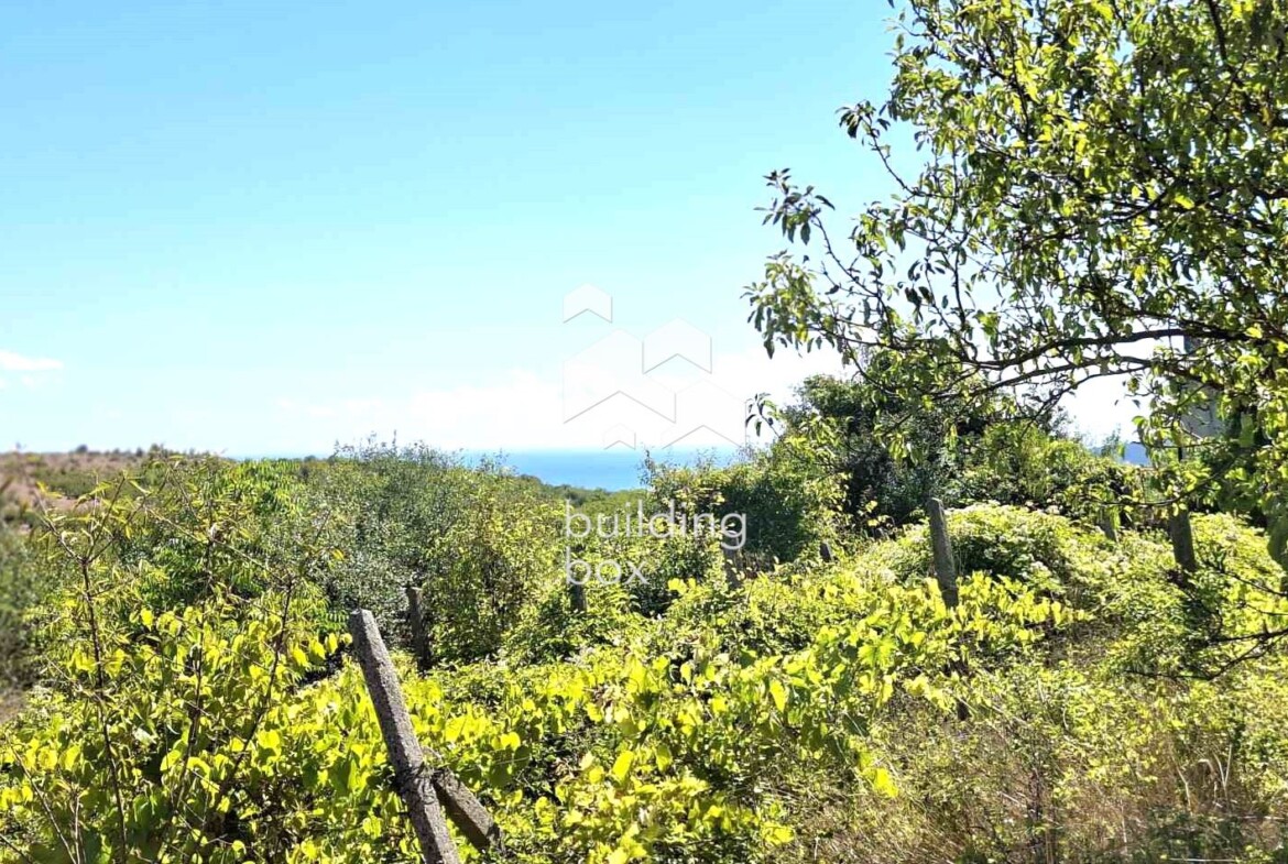 Къща - Варна, област, с.Генерал-Кантарджиево - 0