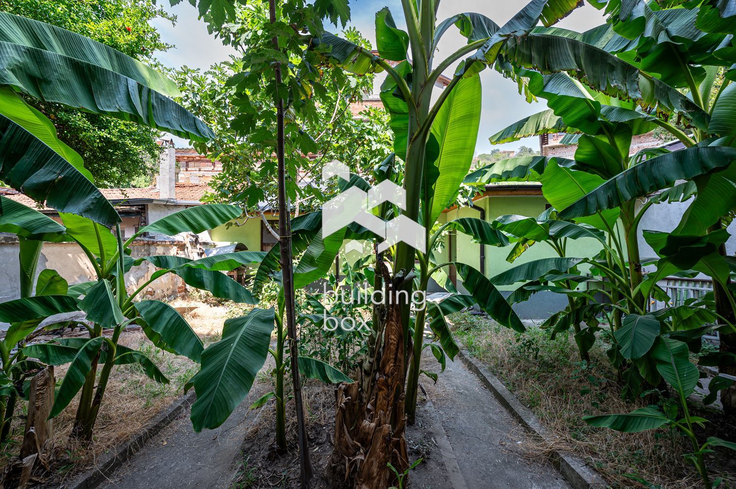 Етаж от къща с допълнителна постройка - гр. Асеновград - 0