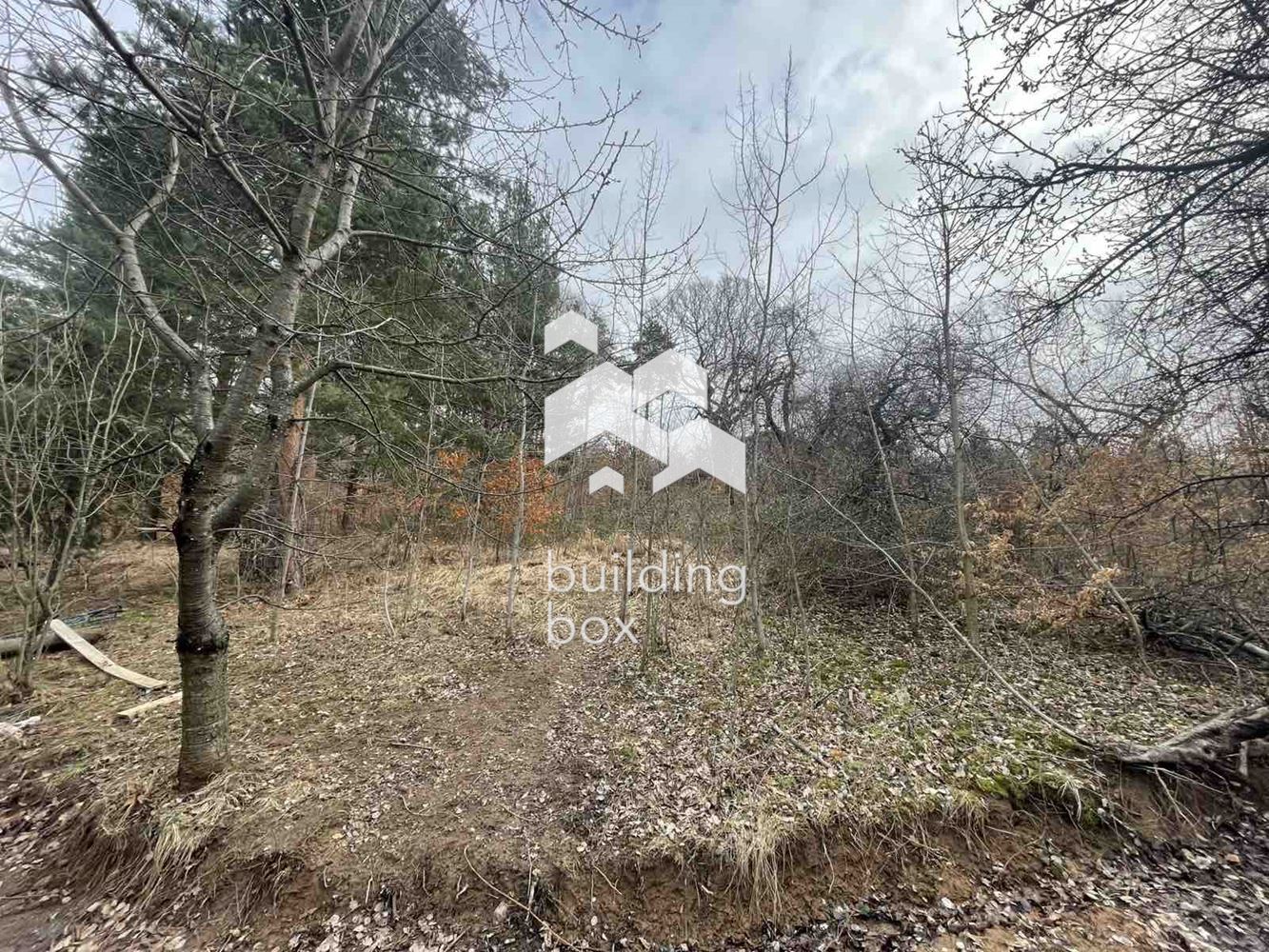 Поземлен имот - с. Владая - 0