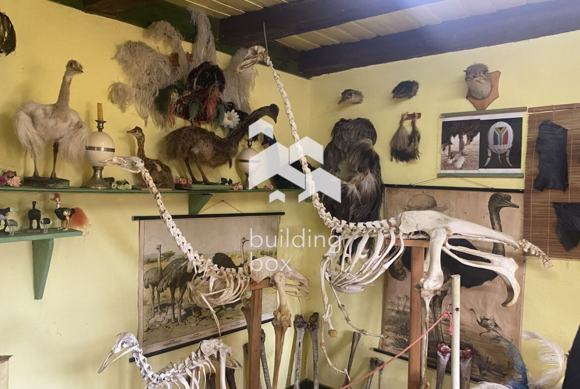 Действаща ферма в утвърден туристически регион с потенциал за разширение - 0