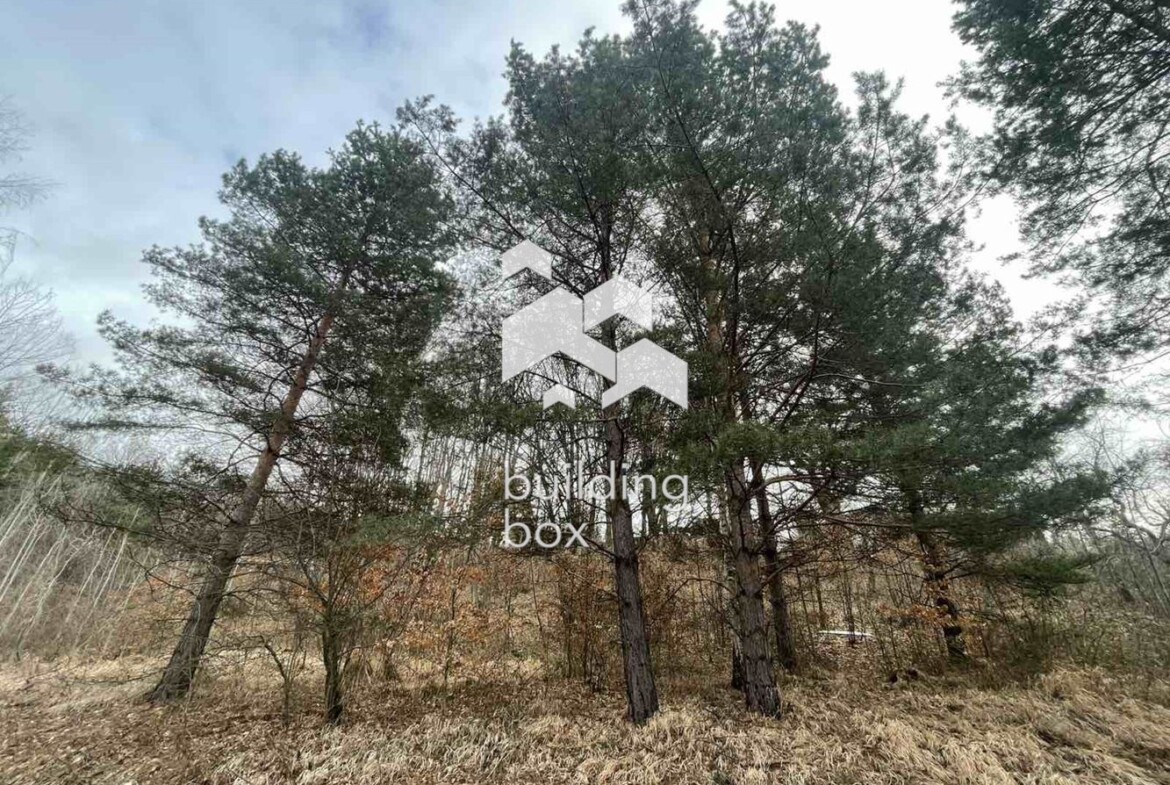 Поземлен имот - с. Владая - 0