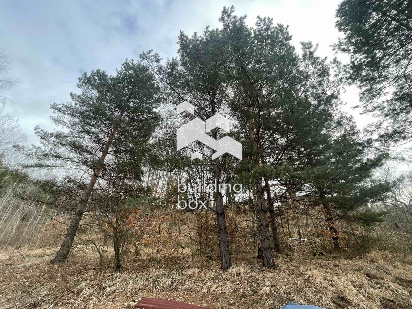 Поземлен имот - с. Владая - 0