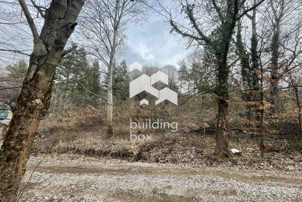 Поземлен имот - с. Владая - 0